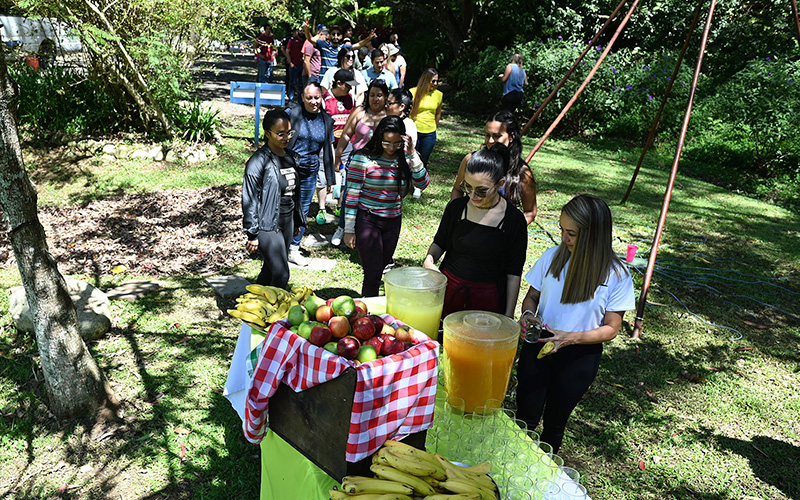 Programas de Recreación